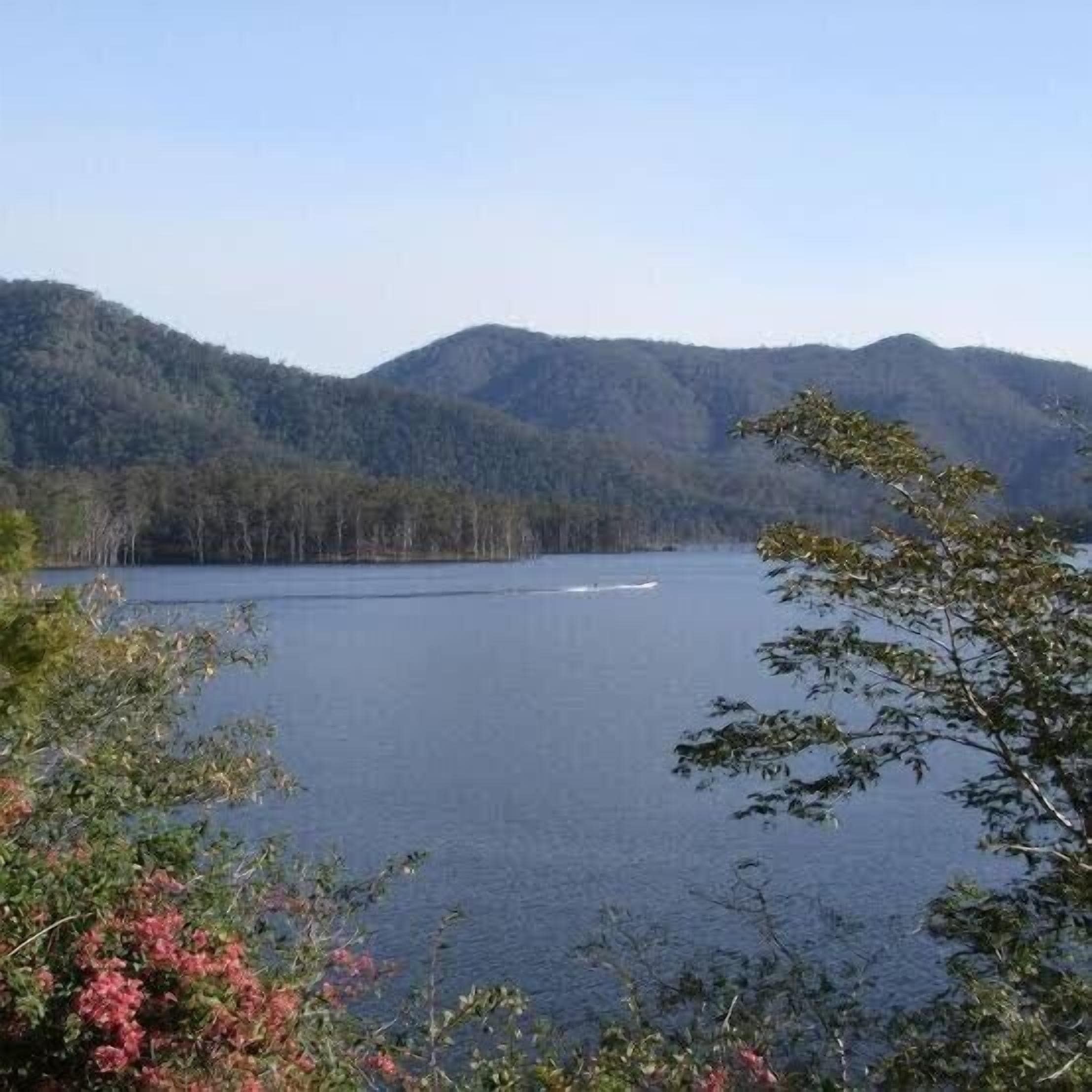 Imbil Ranch Country Getaway