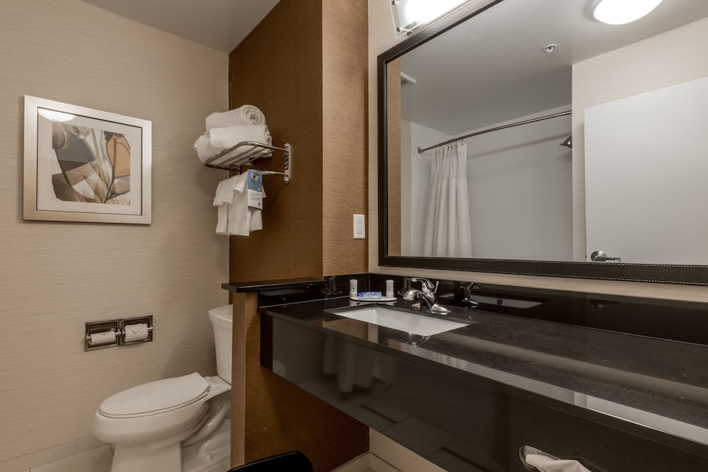 Bathroom, Fairfield Inn & Suites by Marriott Montgomery Airport South