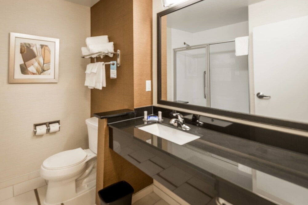 Bathroom, Fairfield Inn & Suites by Marriott Montgomery Airport South