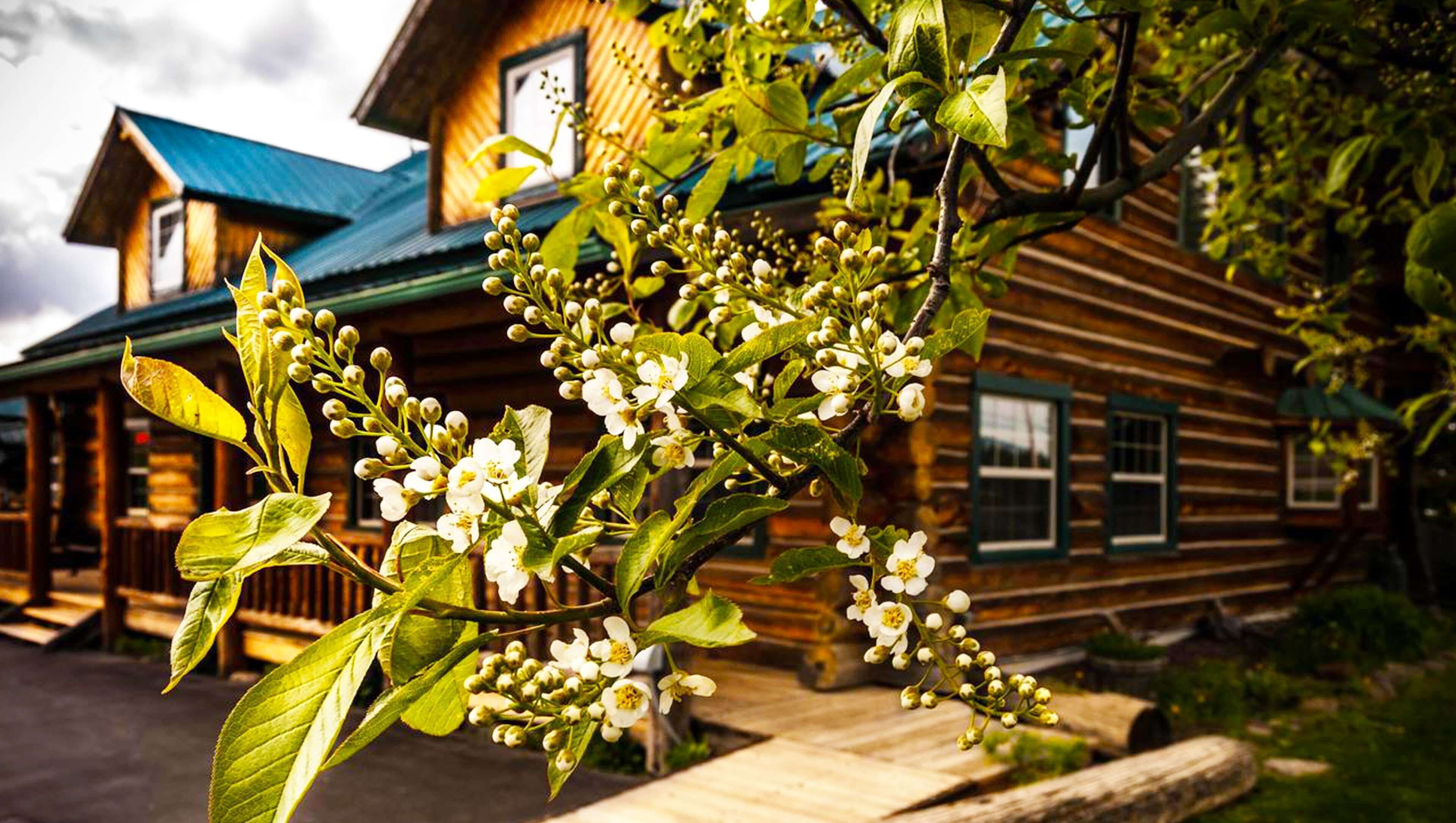 Dodge Peak Lodge in Bonners Ferry, United States