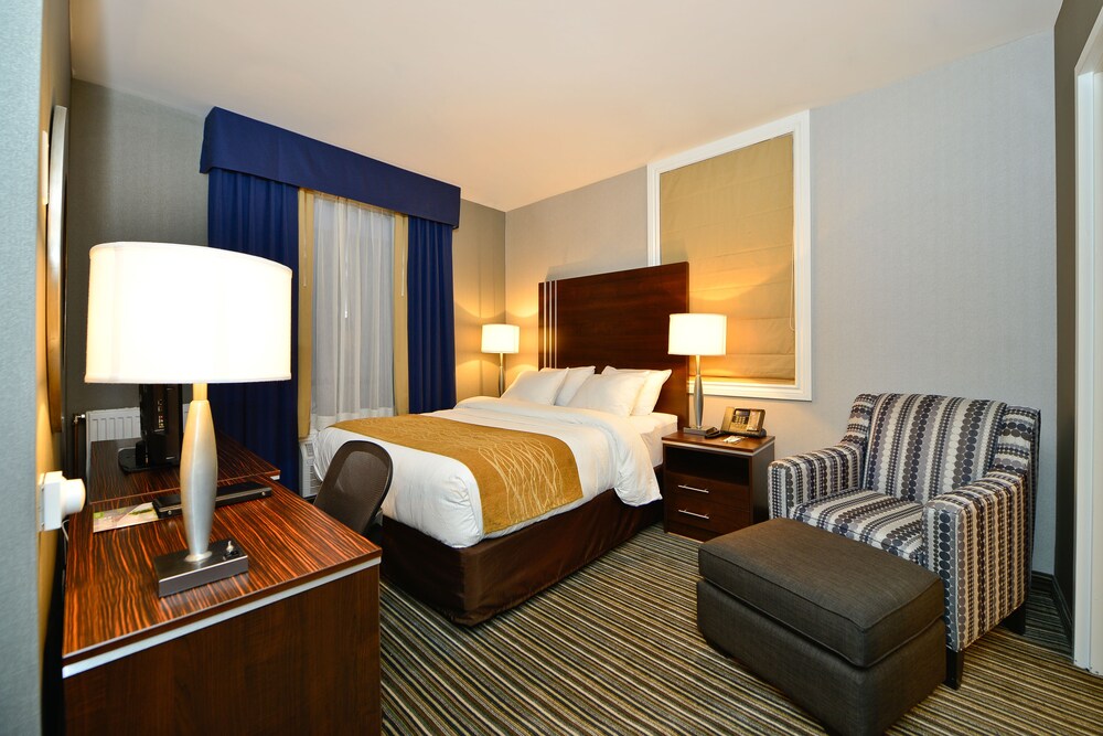 Comfort Hotel Downtown Toronto Phone Number Comfort Hotel Downtown Toronto Phone Number