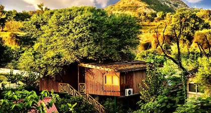 The Tree House Resort