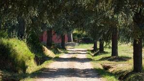 Vista dall'hotel
