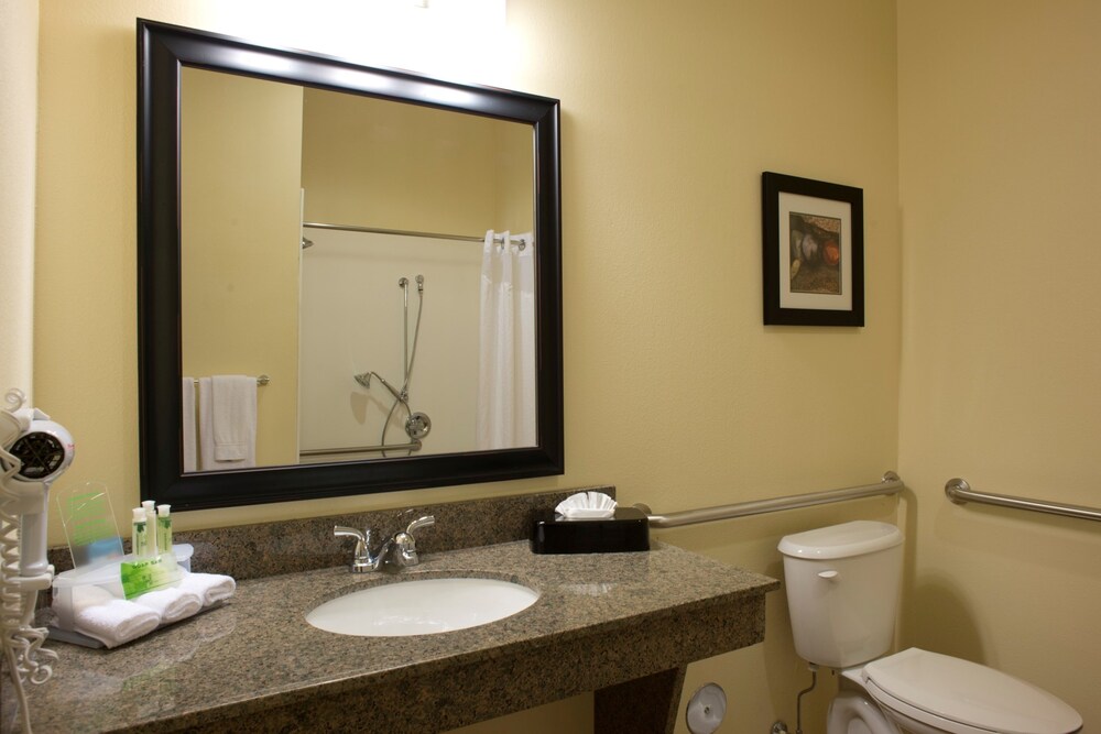 Holiday Inn Express Hotel & Suites Prattville South, an IHG Hotel