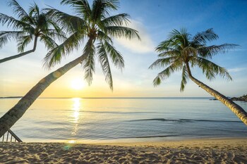 Samui Paradise Chaweng Beach Resort Spa Koh Room Prices Samui Paradise Chaweng Beach Resort