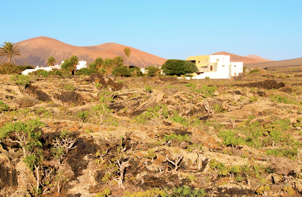 Foto - Finca Tomaren