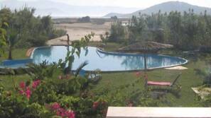 Seasonal outdoor pool, pool umbrellas, sun loungers