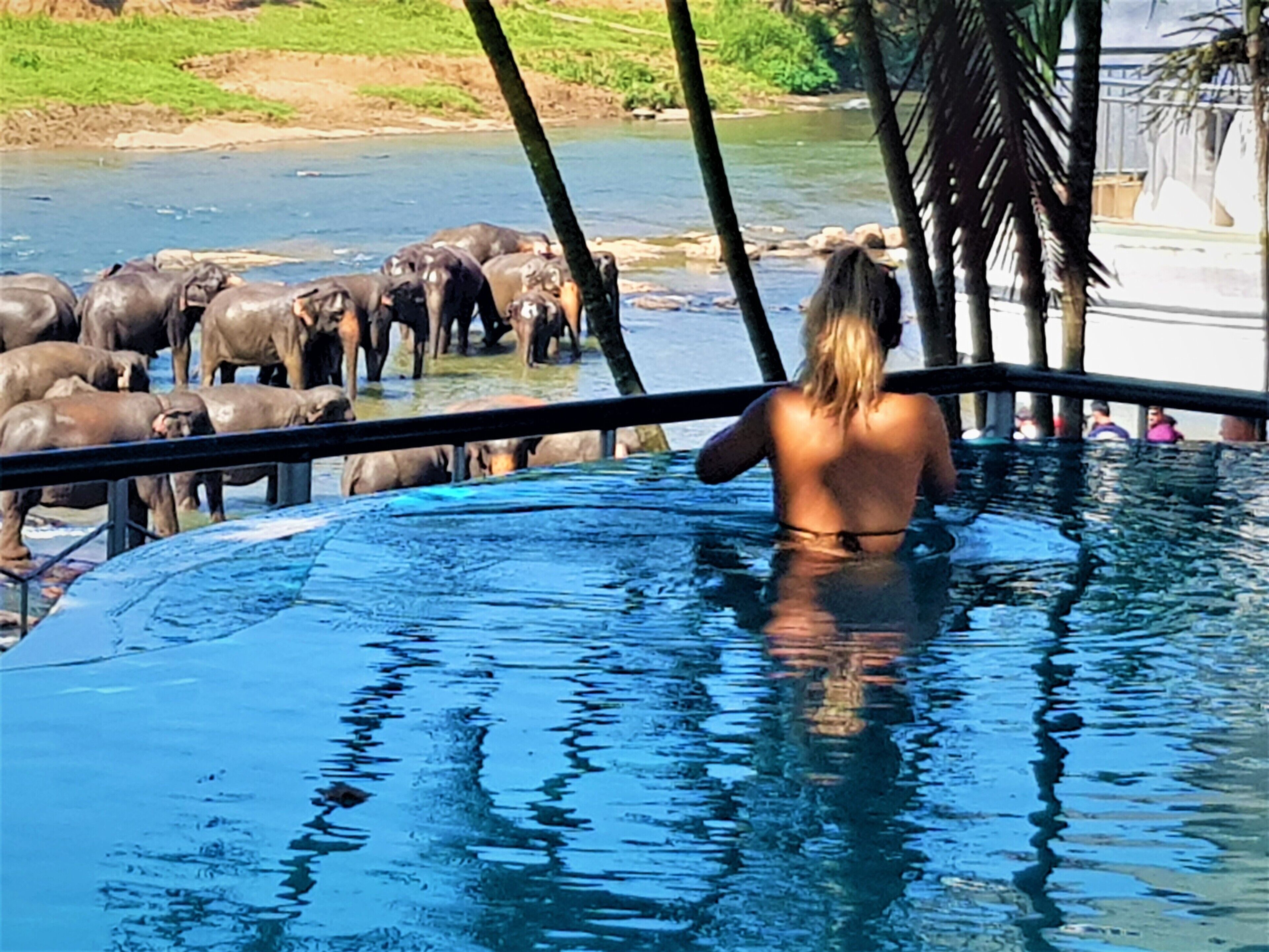 Hotel Elephant Park in Pinnawala, Sri Lanka