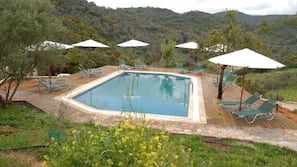 Outdoor pool, pool umbrellas, pool loungers