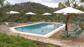 Outdoor pool, pool umbrellas, pool loungers