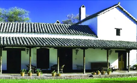 Primary image