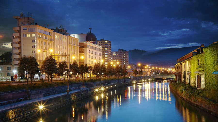 Hotel Sonia Otaru