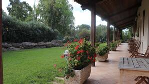 Terrazza/Patio