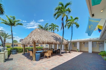 Hollywood Beach Seagull
