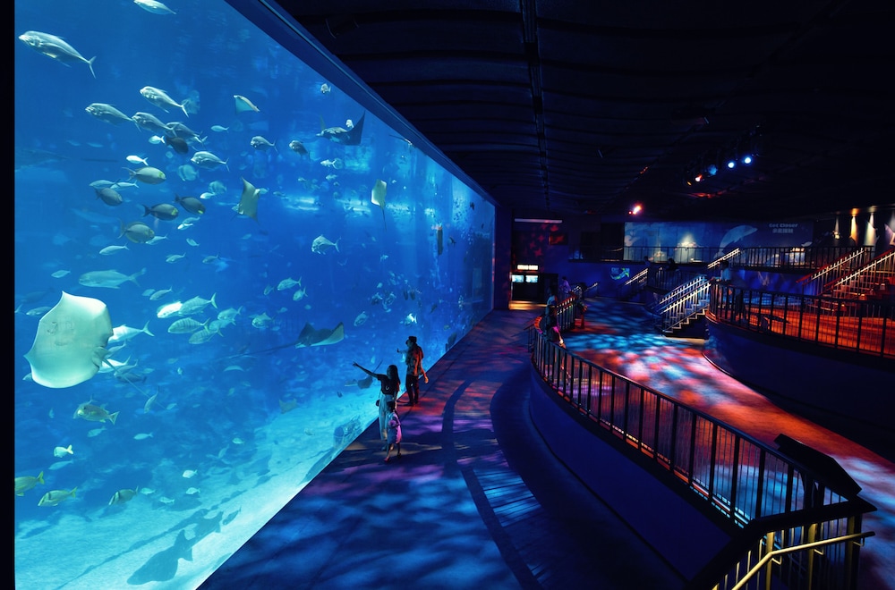 Resorts World Sentosa Equarius Hotel Sg Clean In Southern Islands Hotel Rates Reviews On Orbitz Resorts World Sentosa Equarius Hotel Sg Clean In Southern Islands Hotel Rates Reviews On Orbitz