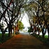 Kievits Kroon Country Estate in Pretoria, South Africa