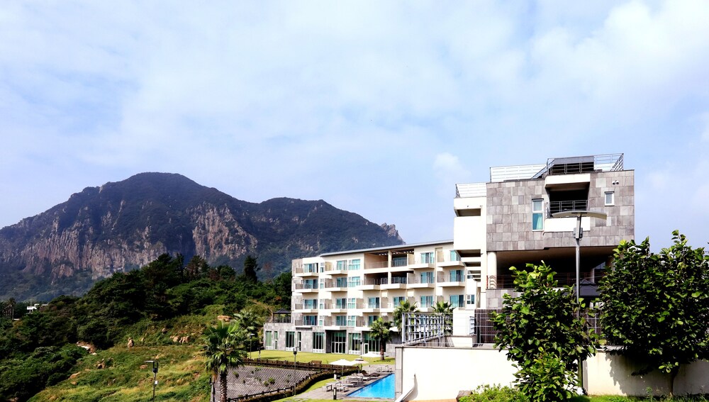 Hotels In Seogwipo Jeju Island Hotels In Seogwipo Jeju Island