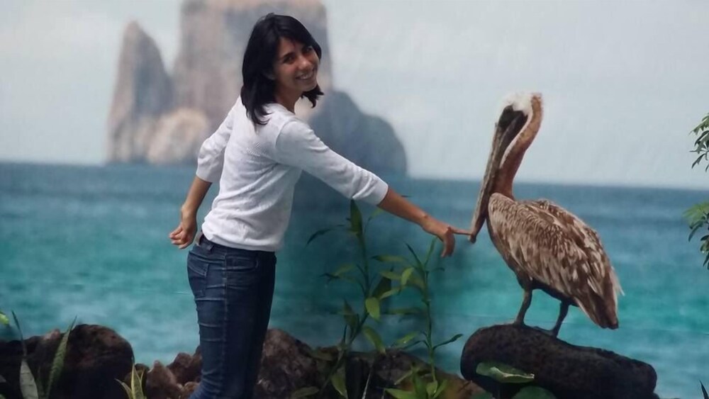 Photo - Hostal Perla Real Inn