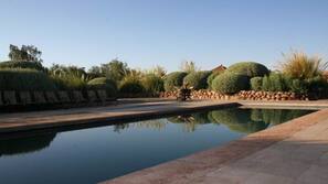 Piscina externa