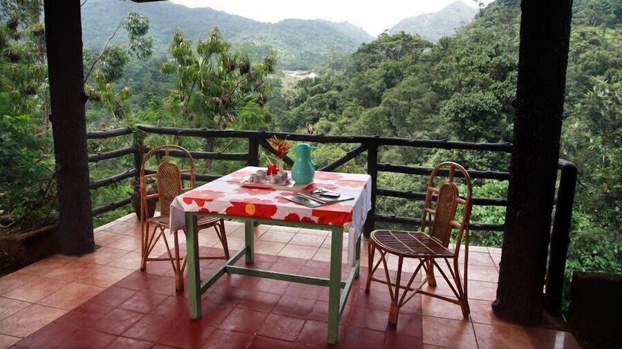 Wild Elephant Eco-Friendly Resort