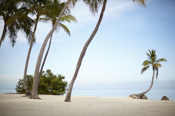 Florida Keys Vacations 2019 Vacation Packages Deals