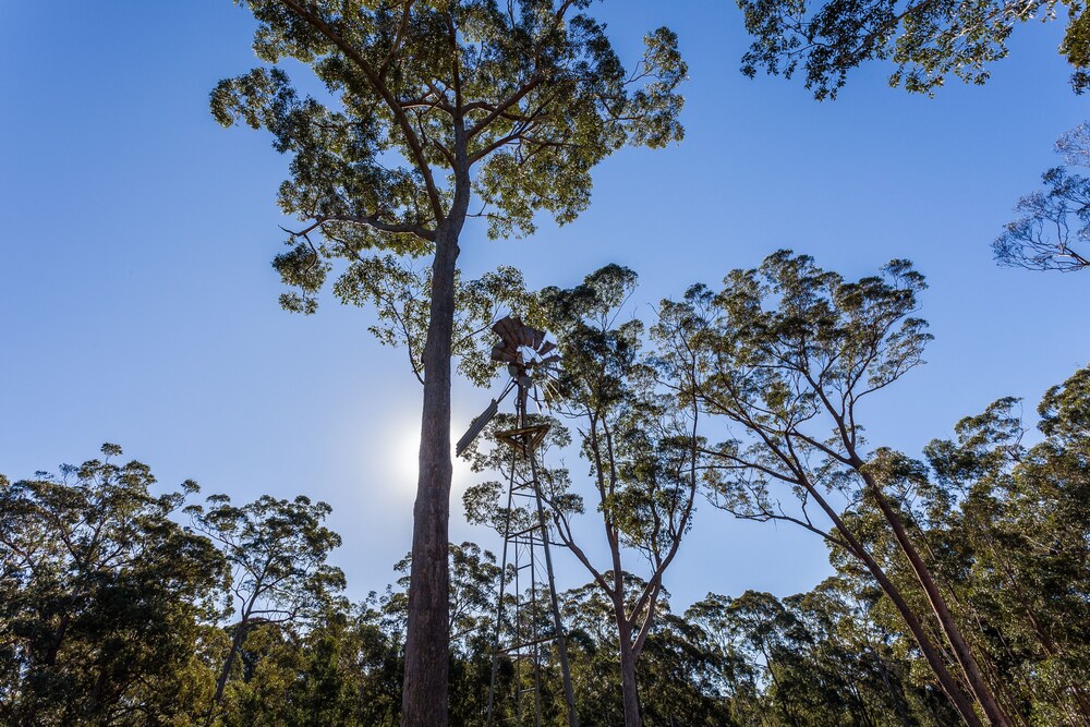 Worrowing Jervis Bay