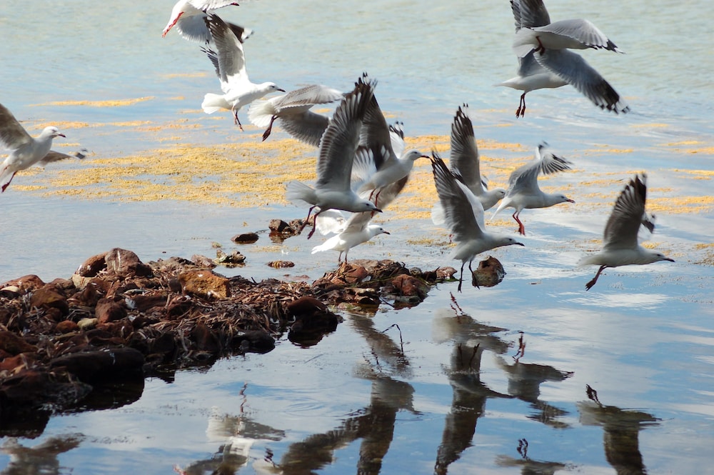 Worrowing Jervis Bay