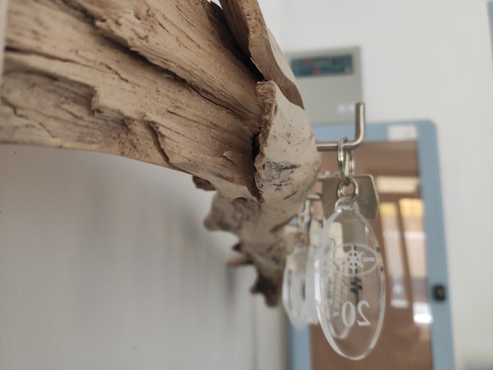 Foto - Hotel Imperia