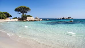Beach shuttle