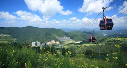 Vivaldi Park