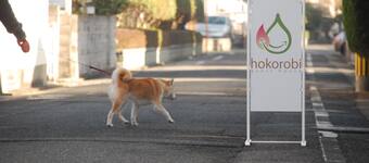 福岡市の格安ホテル 3 031 安くておすすめの宿を予約 エクスペディア 福岡市の格安ホテル 3 031 安くておすすめの宿を予約 エクスペディア