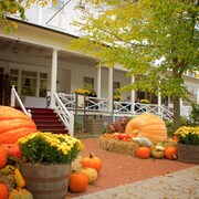 stockbridge ma lodging with pets