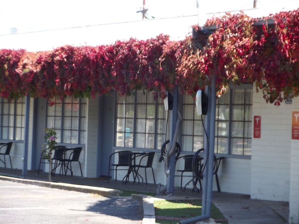 Guichen Bay Motel