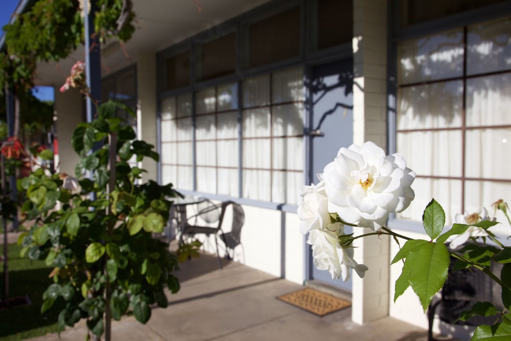 Guichen Bay Motel