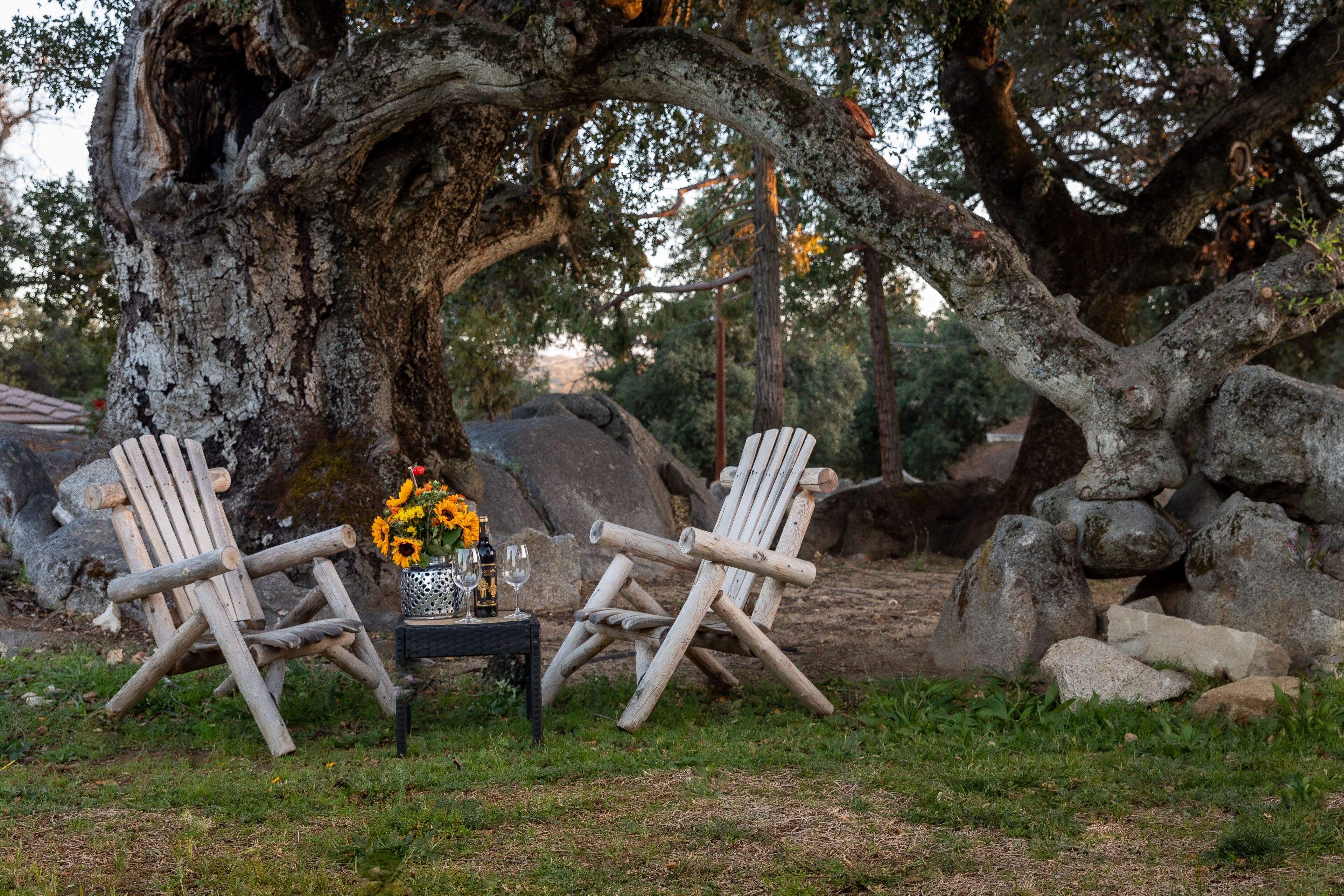 Apple Tree Inn in Julian, United States