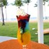Holiday Inn Resort Grand Cayman