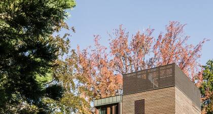 Casa sull'Albero