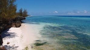 Plage privée à proximité, sable blanc, navette gratuite vers la plage