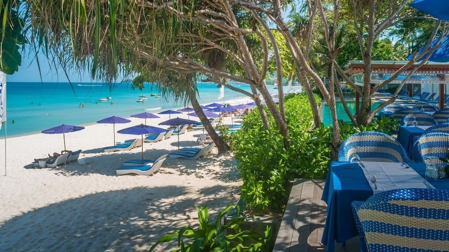 Synergy Samui