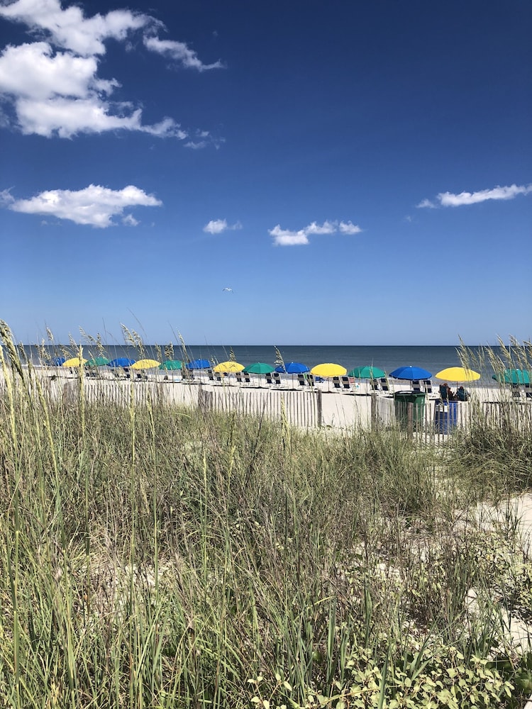 Gorgeous Ocean View Suite + Official On-Site Rental Privileges