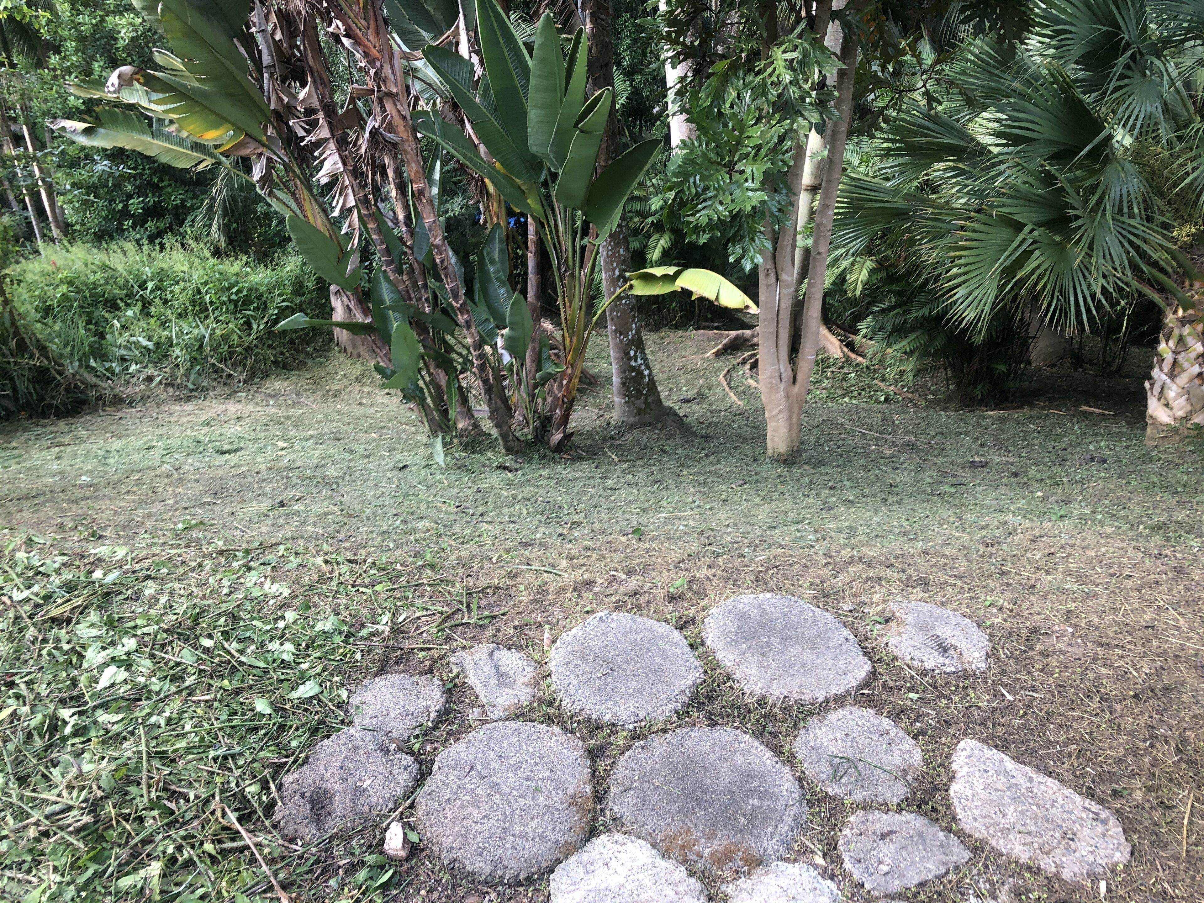 Your Secluded and Private Slice of Bellingen in old Part of Town