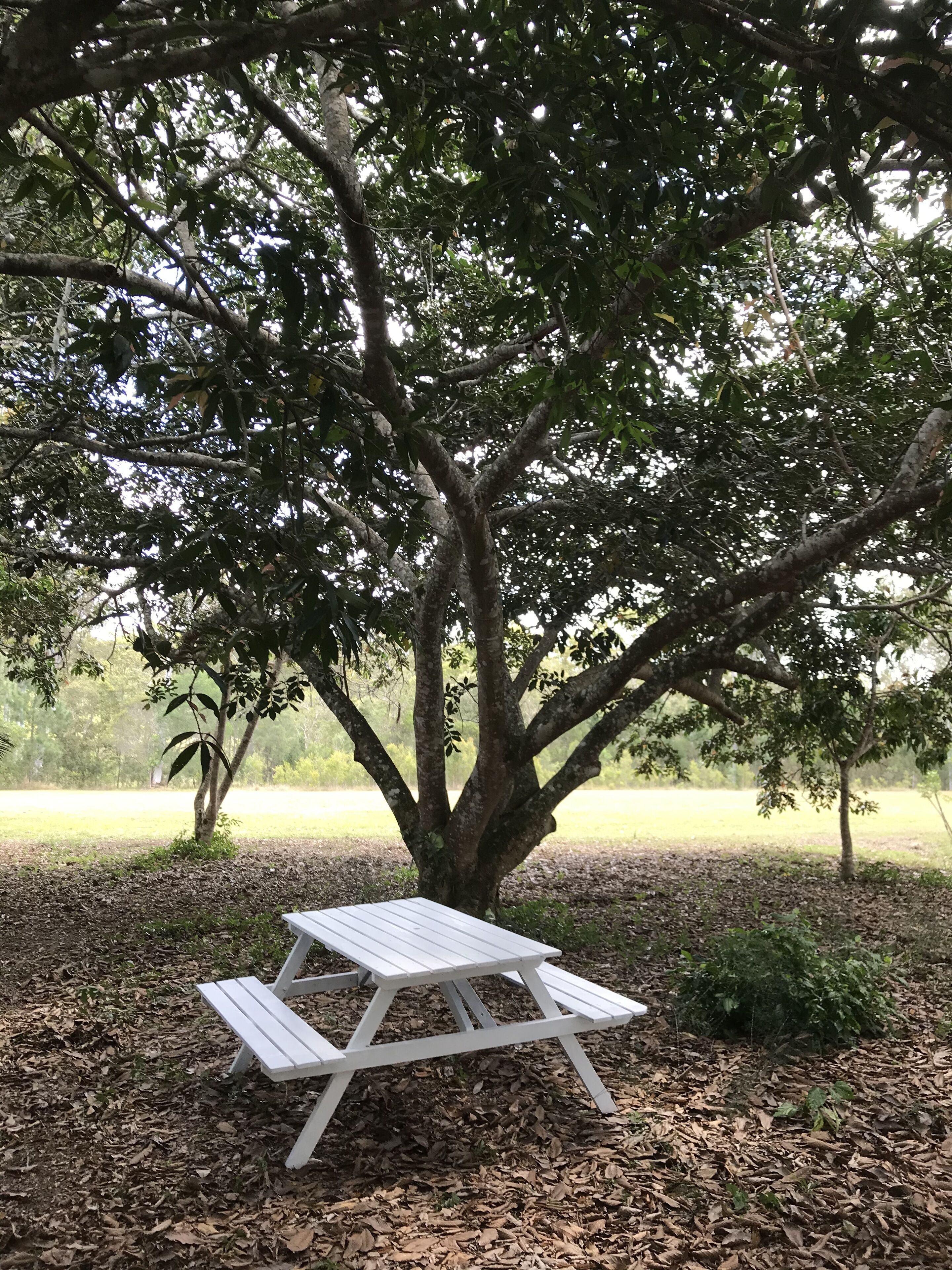 The Cottage of Peace and Tranquility