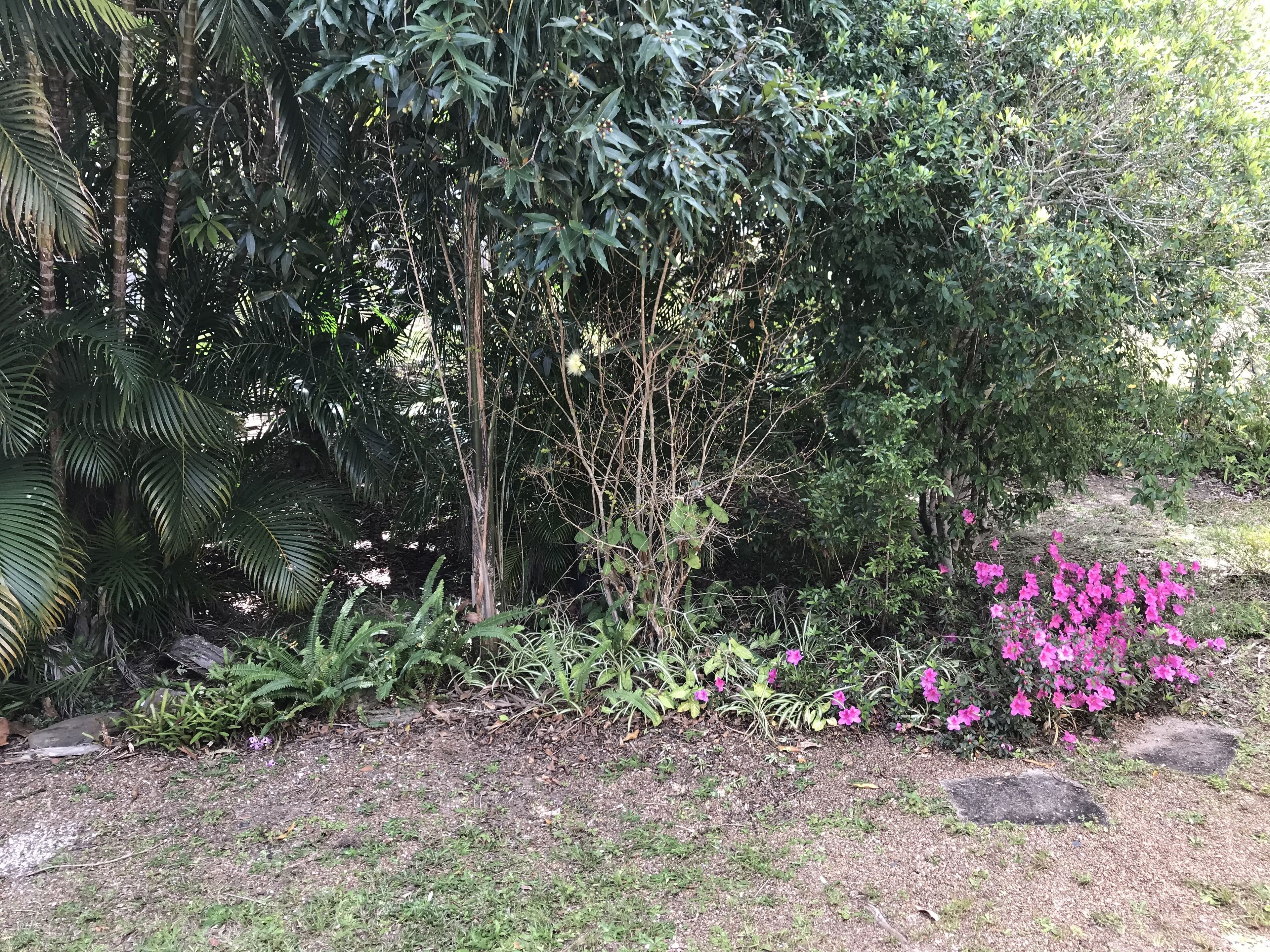 The Cottage of Peace and Tranquility