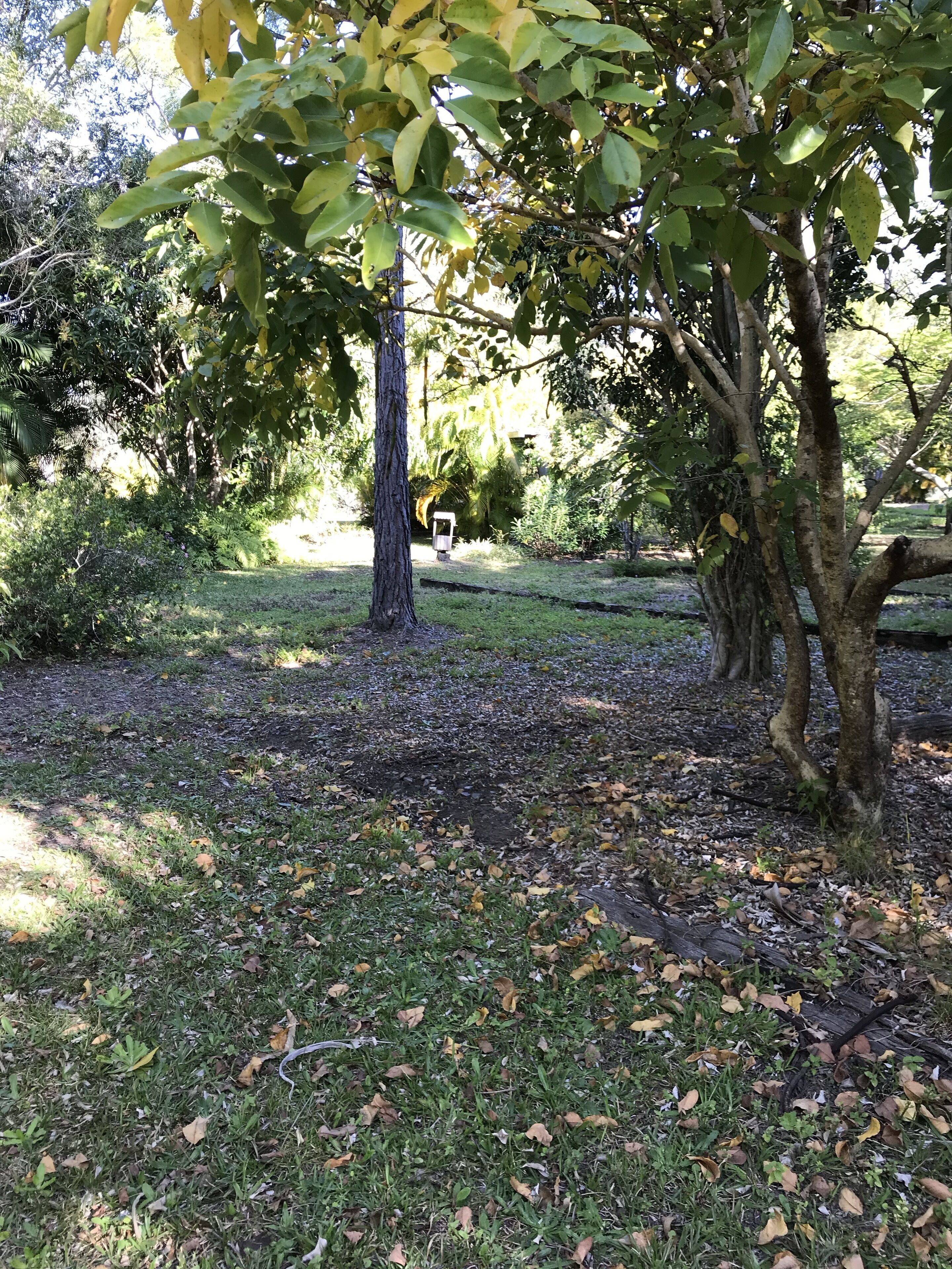 The Cottage of Peace and Tranquility