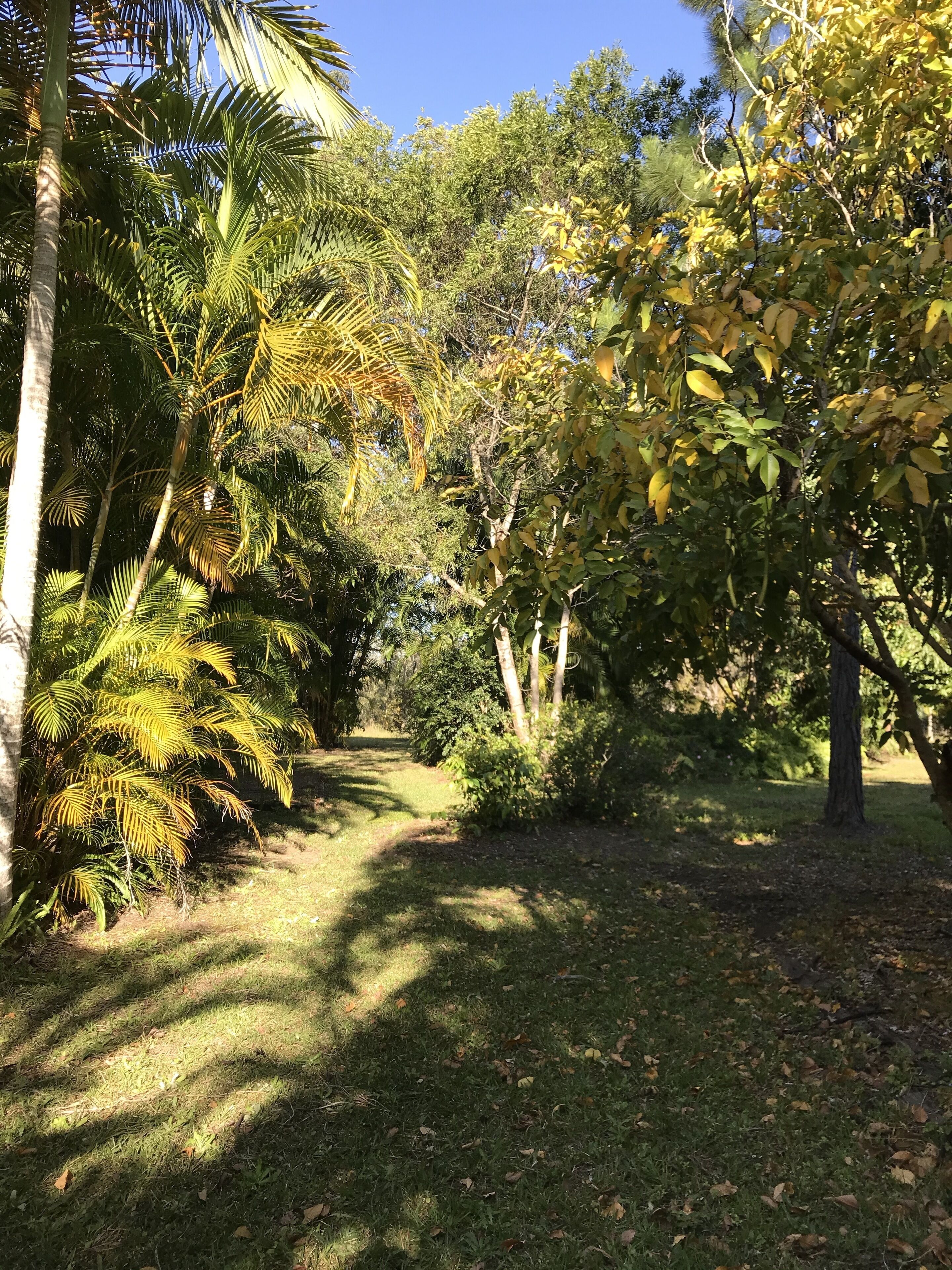 The Cottage of Peace and Tranquility