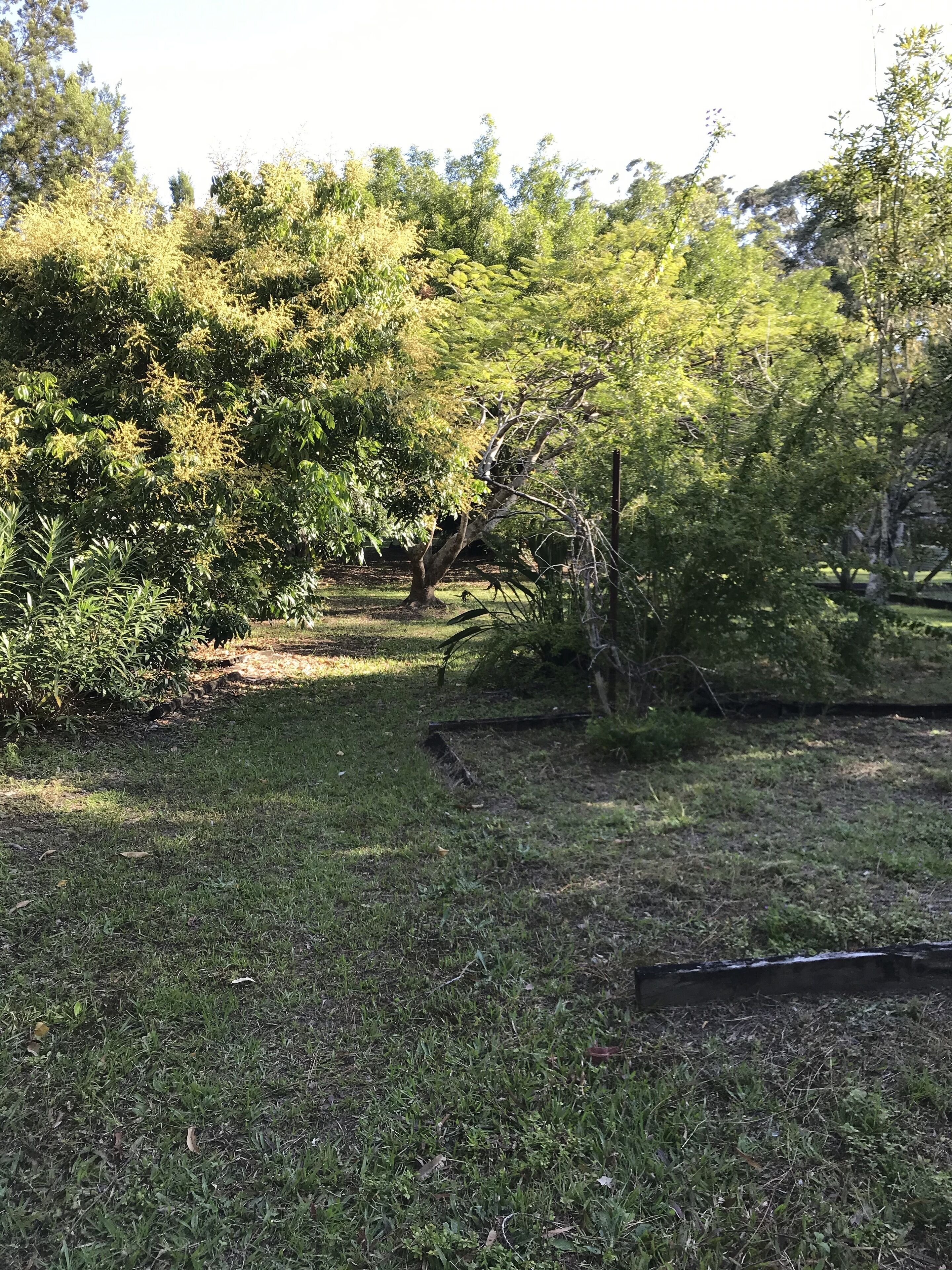 The Cottage of Peace and Tranquility