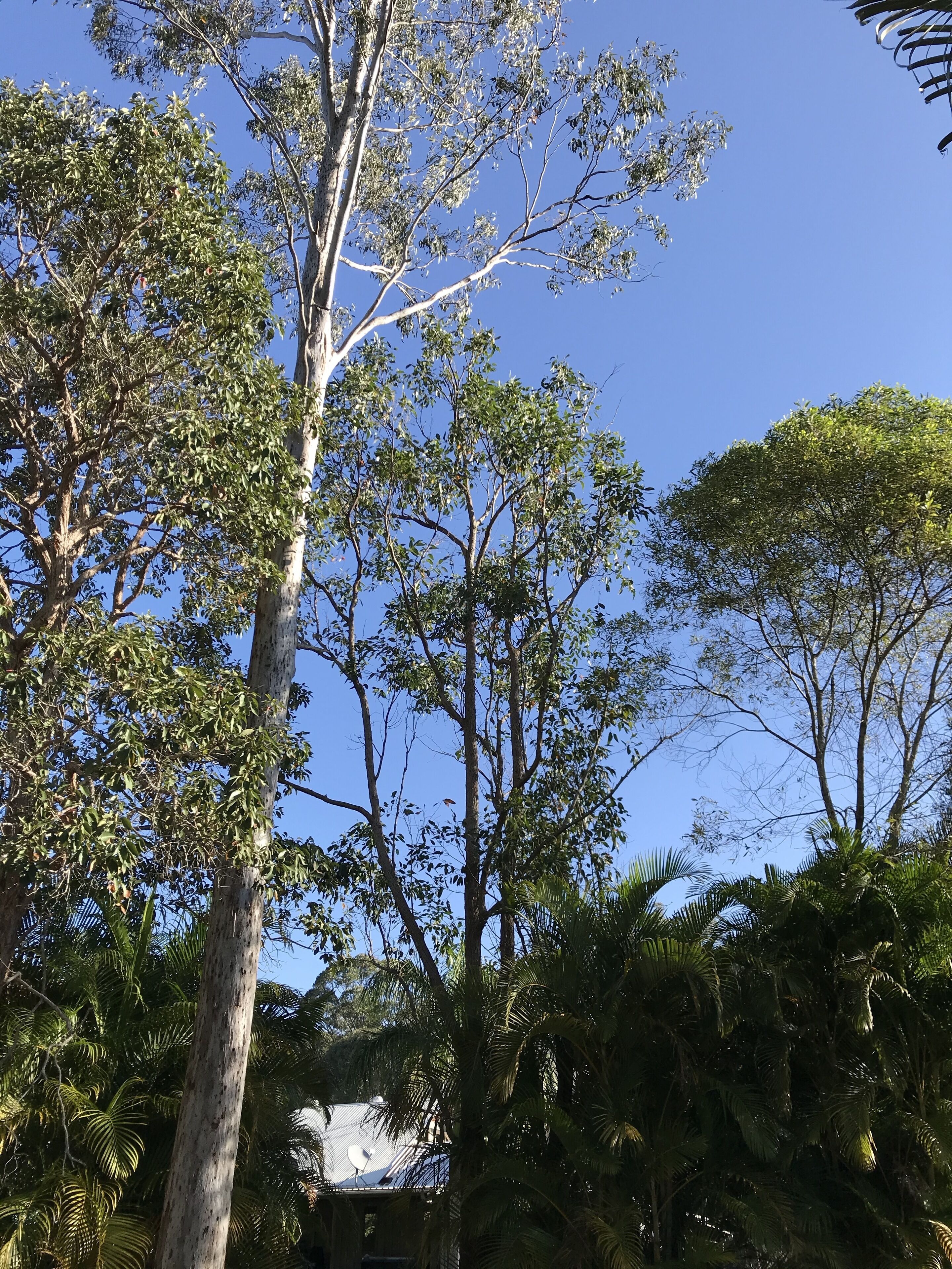 The Cottage of Peace and Tranquility