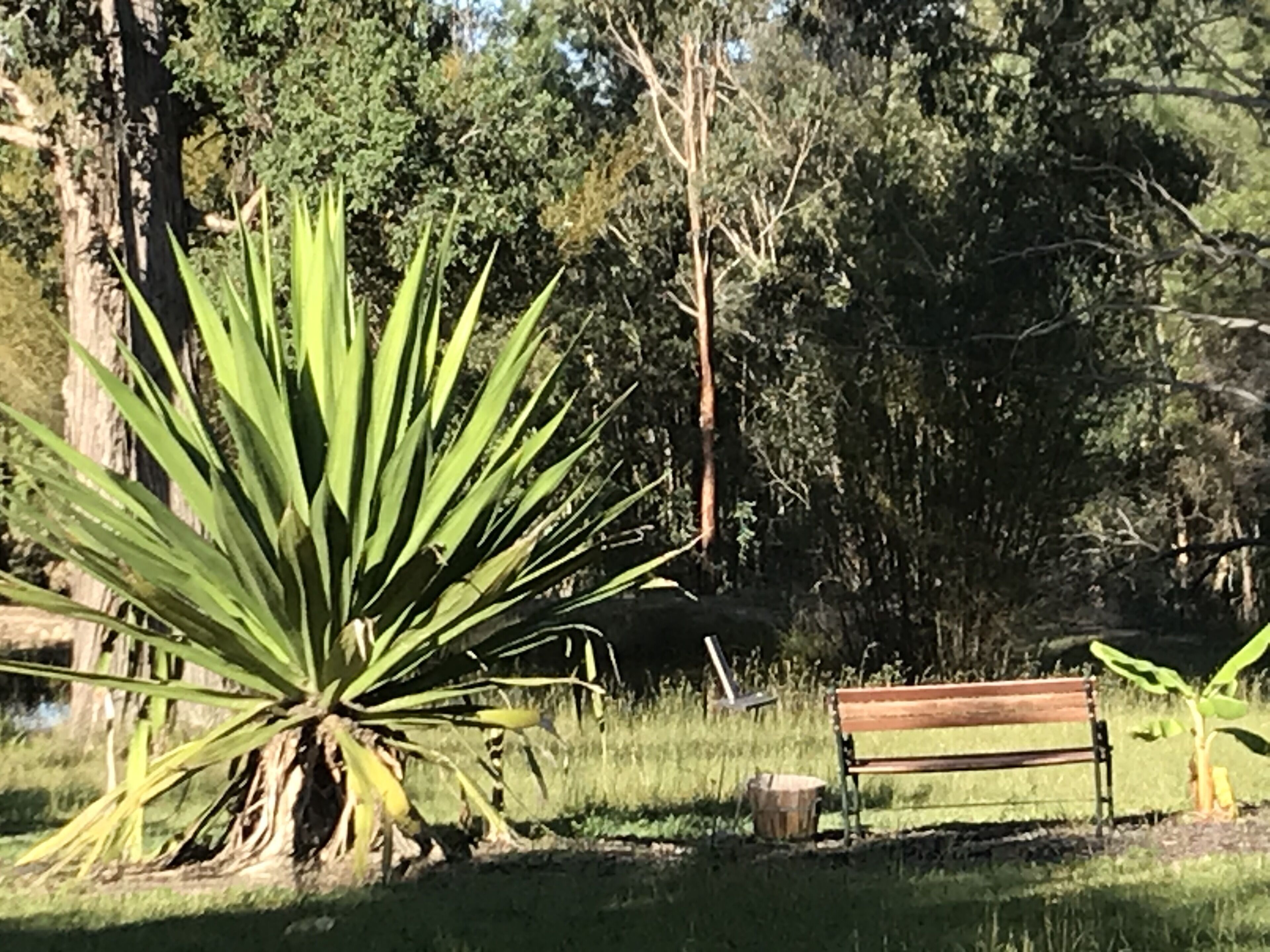 The Cottage of Peace and Tranquility