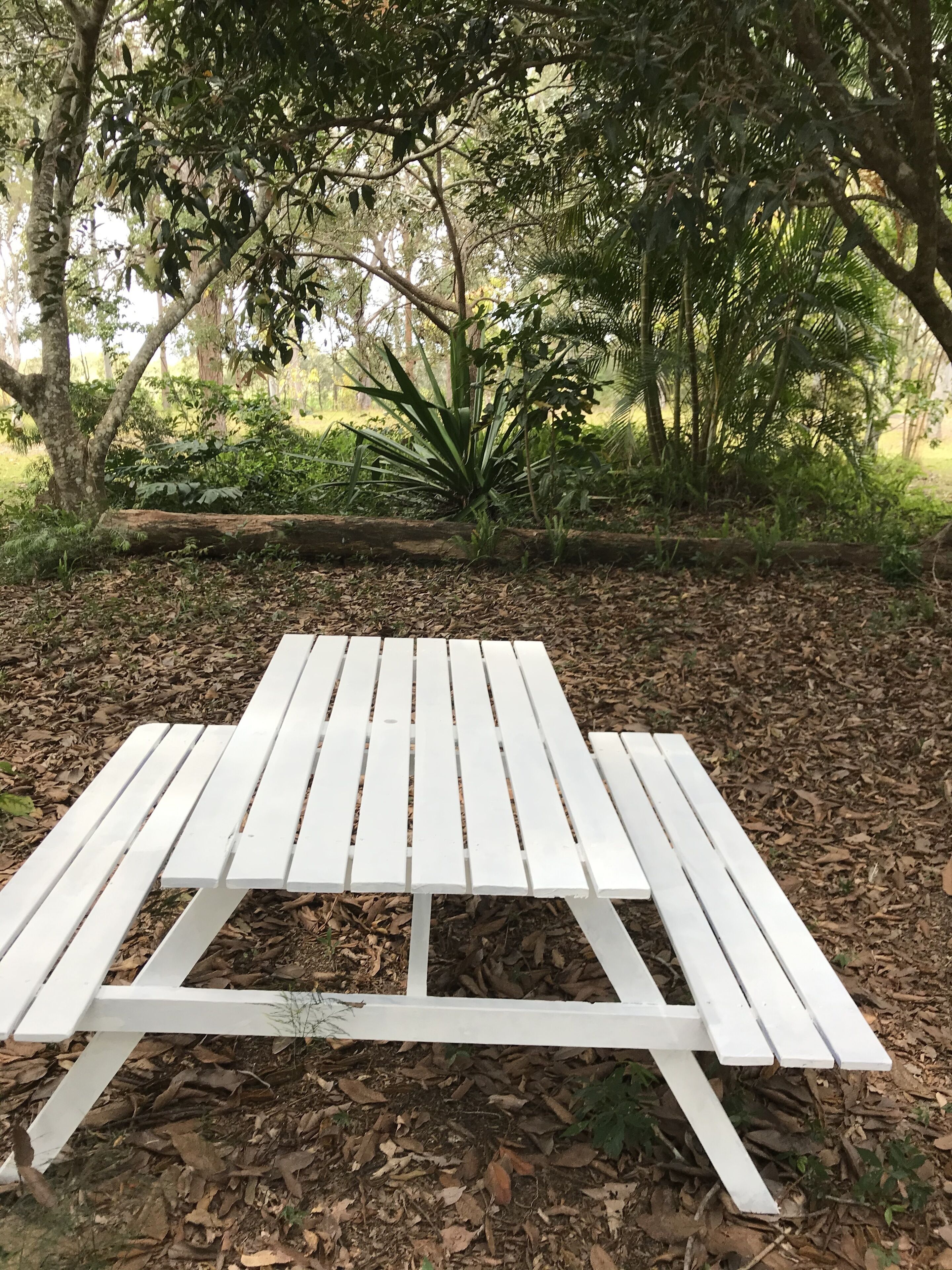 The Cottage of Peace and Tranquility