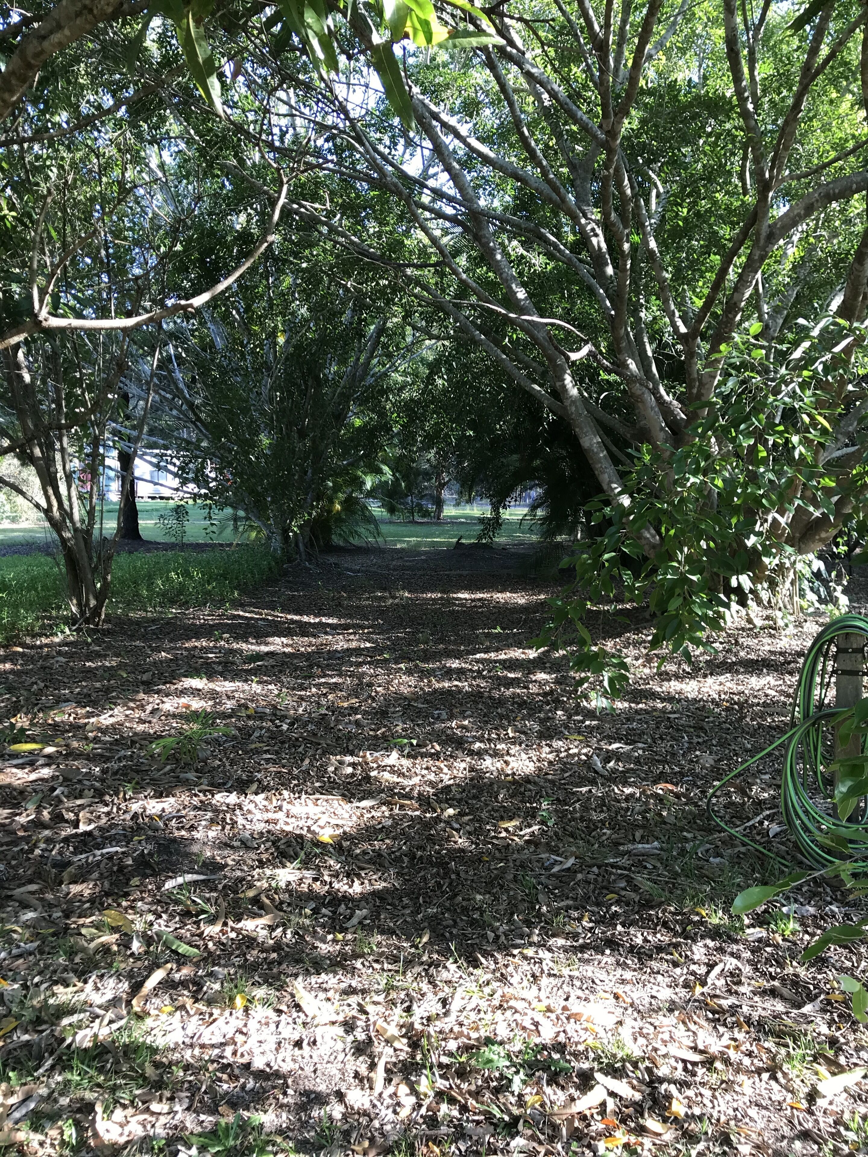 The Cottage of Peace and Tranquility